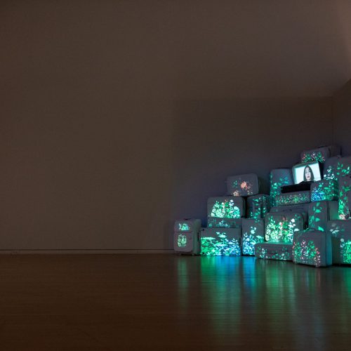 Ghazal-Hanging Gardens and Eco of Home-2024 (1)