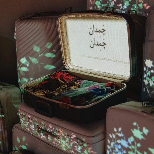 Ghazal-Hanging Gardens and Eco of Home-2024 (3)