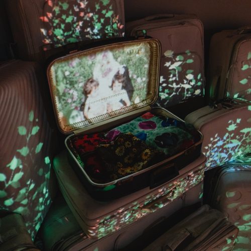 Ghazal-Hanging Gardens and Eco of Home-2024 (4)