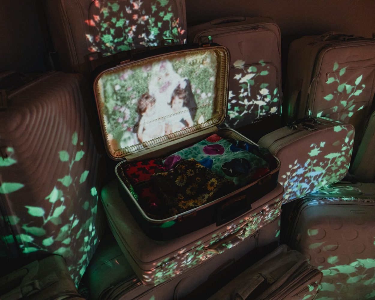 Ghazal-Hanging Gardens and Eco of Home-2024 (4)