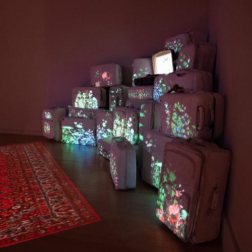 Ghazal-Hanging Gardens and Eco of Home-2024